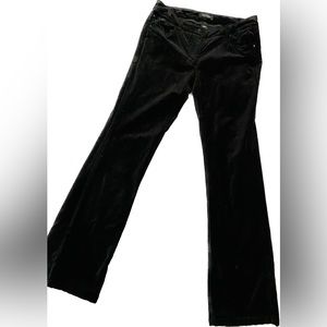 White House Black Market Velvet Pants